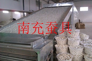 蚕茧烘干机2 - 副本.jpg